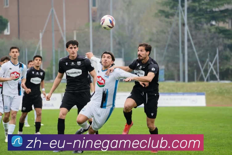 九游体育官方网站发展历程